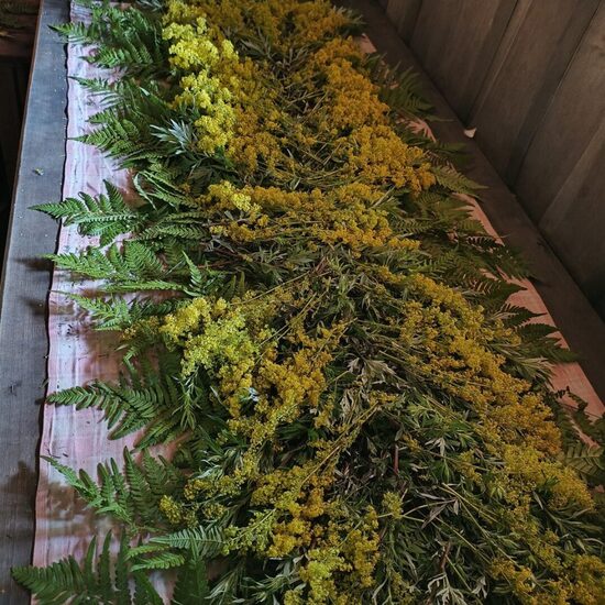 Pirmsdzemdību pirts rituāls